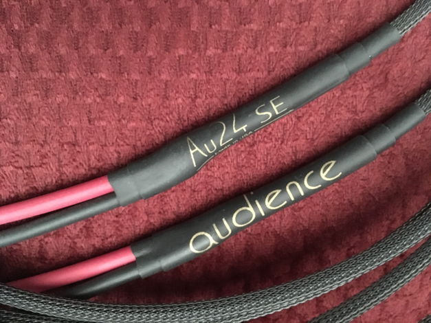 Audience Au 24 - SE **Speaker Cables - 2M**