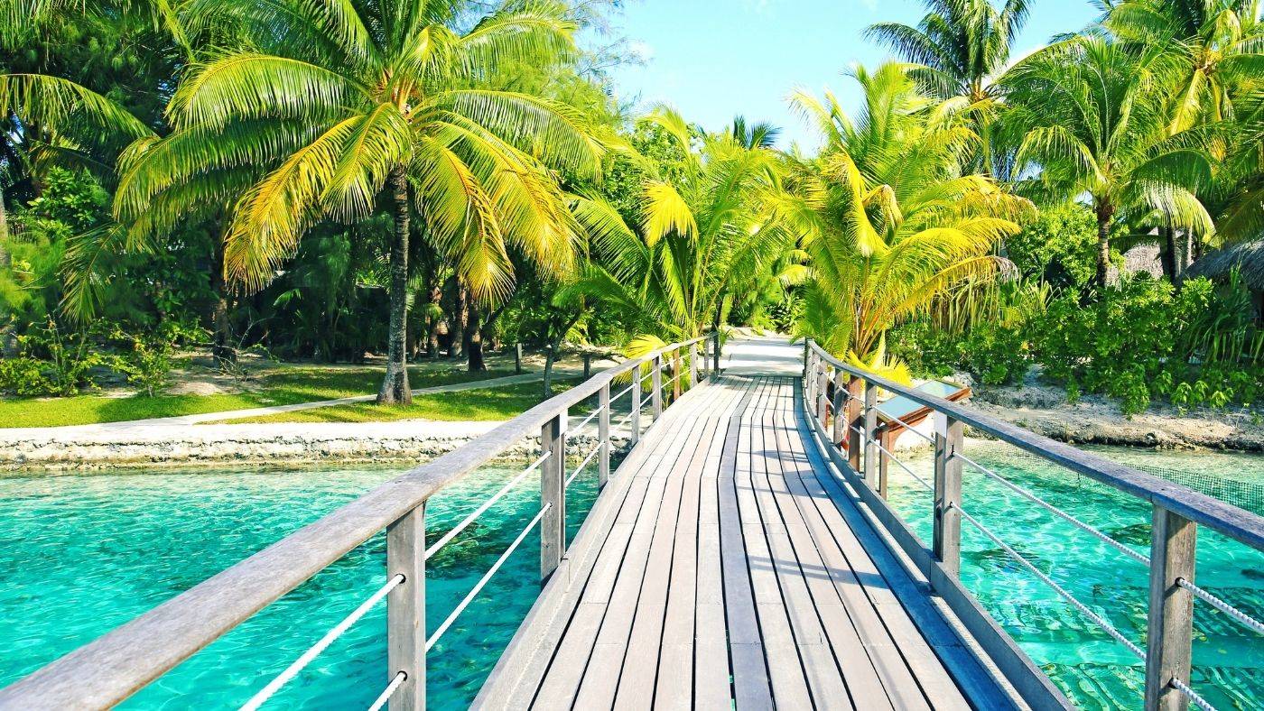 Bambina Bora Bora Travel Guide wooden walkway over aquamarine ocean into a grove of palm trees