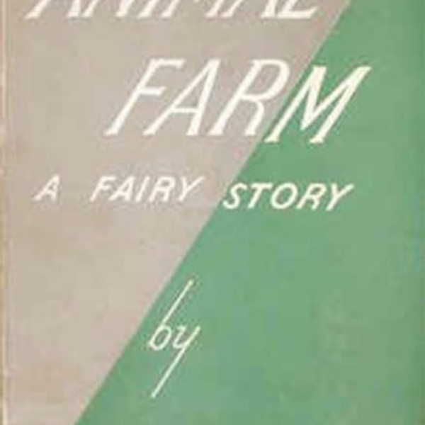 Main Content Image
