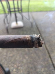 Cigar Session Photo