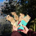 BK bamboo socks held against a background of forest trees in their 100% recyclable cardboard packaging