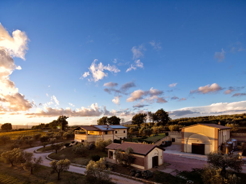 Food & Wine Tours Montefalco: Montefalco: Winery tour and Umbrian wine tasting