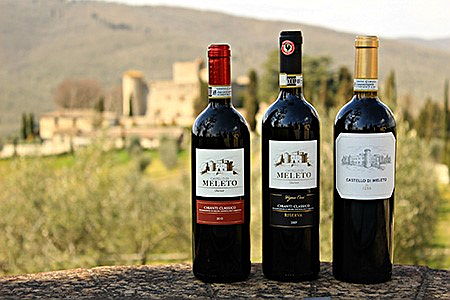 Siena (SI)
- Chianti 5.jpg vineyards vigneto vino