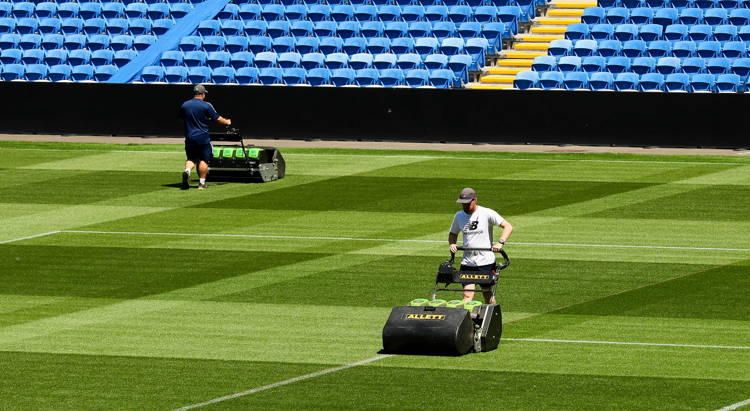 Allen reel mower on sale