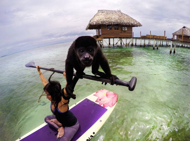 A woman doing yoga on a paddleboard with a monkey