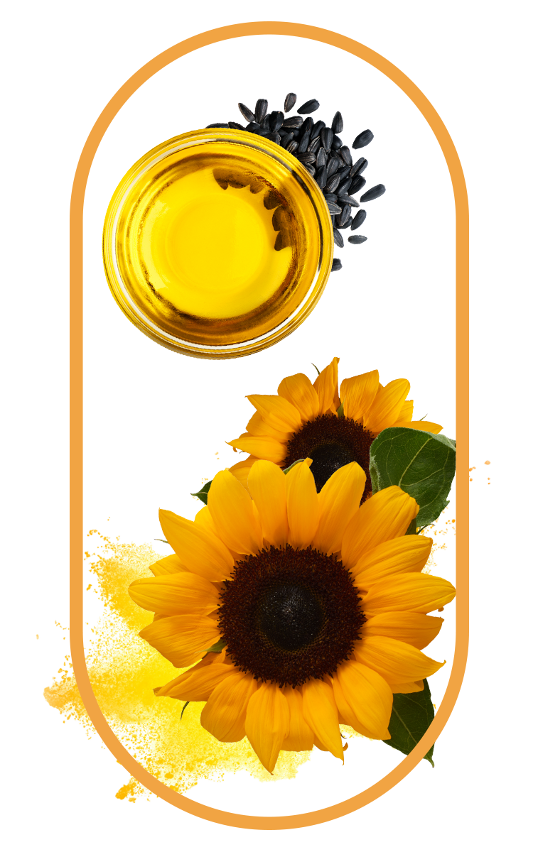 Bowl of Green powder made of spirulina found in the best Multivitamins for men