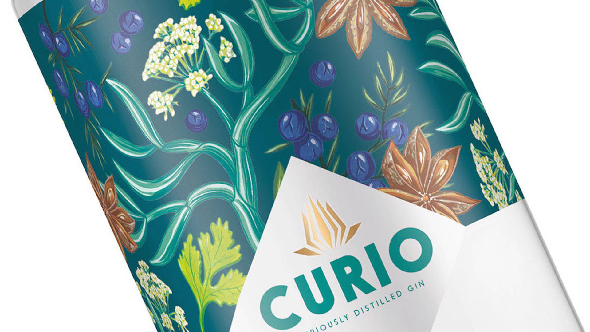 Featured image for Curio Spirits