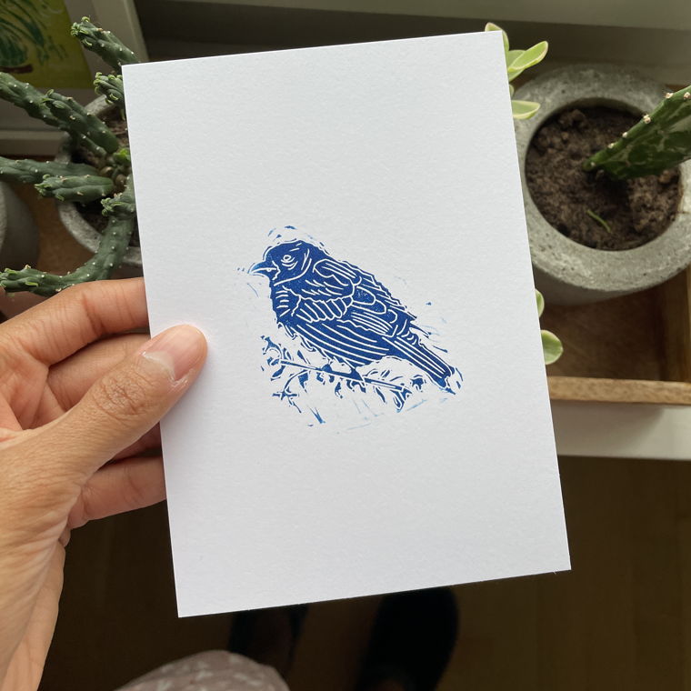 Little blue sparrow