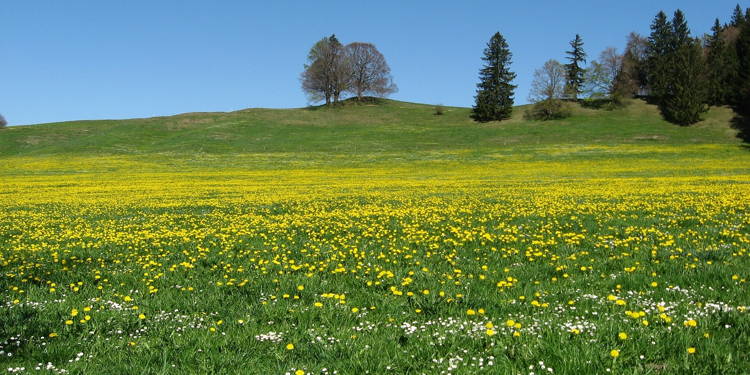 Feldanmeldung jetzt möglich!