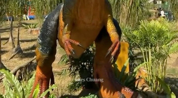 Main Content Image