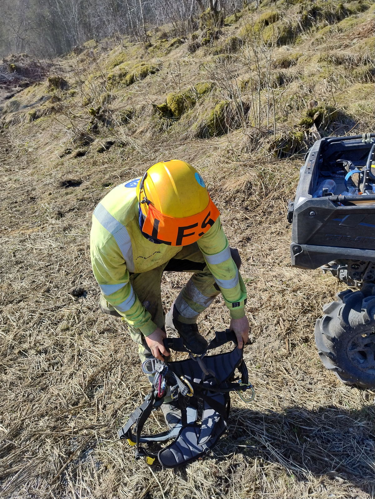 Avgreining Hegge-Dyrnes-Istervika,
