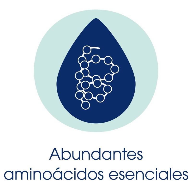 Leche Aminoácidos Salud