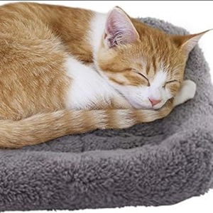 lesypet Cat Beds for Indoor Cats, 15" x 10" Small Cat Bed Curl Sleep Plush Cushion with Pillow, Non-Slip Bottom Washable Mat, Small