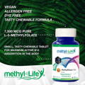 Best Methylfolate Supplements 