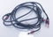 AudioQuest KE-6 Speaker Cables 8ft Pair w/32v DBS (3984) 6