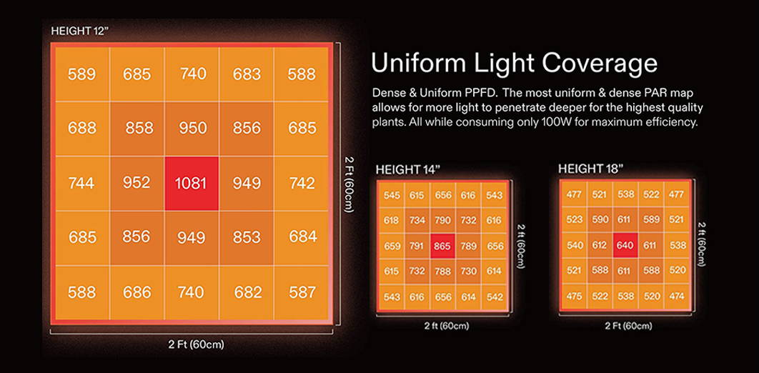 Uniform Light Coverage from Height 12" to 18". Dense and Uniform PPFD. The most uniform and dense PAR map allows for more light to penetrate deeper for the hightest quality plants. All while consuming only 100w fpr ,aximum efficiency.