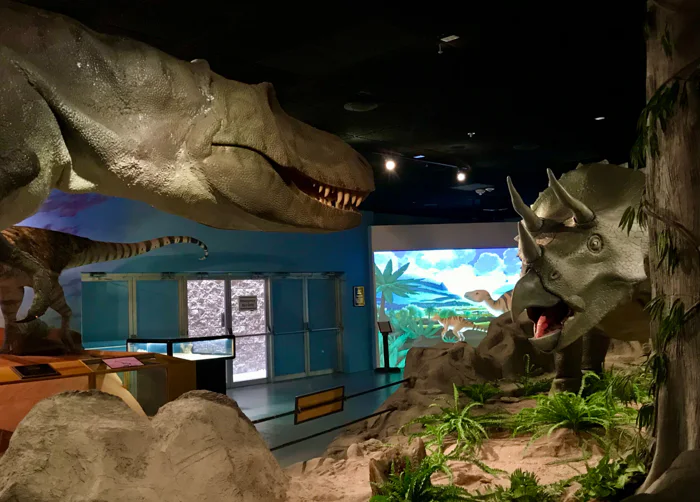 Las Vegas Science & Natural History Museum
