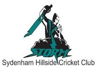 Sydenham Hillside Cricket Club Logo