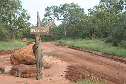  Hoedspruit
- gravel road and signage on Raptors View Wildlife Estate