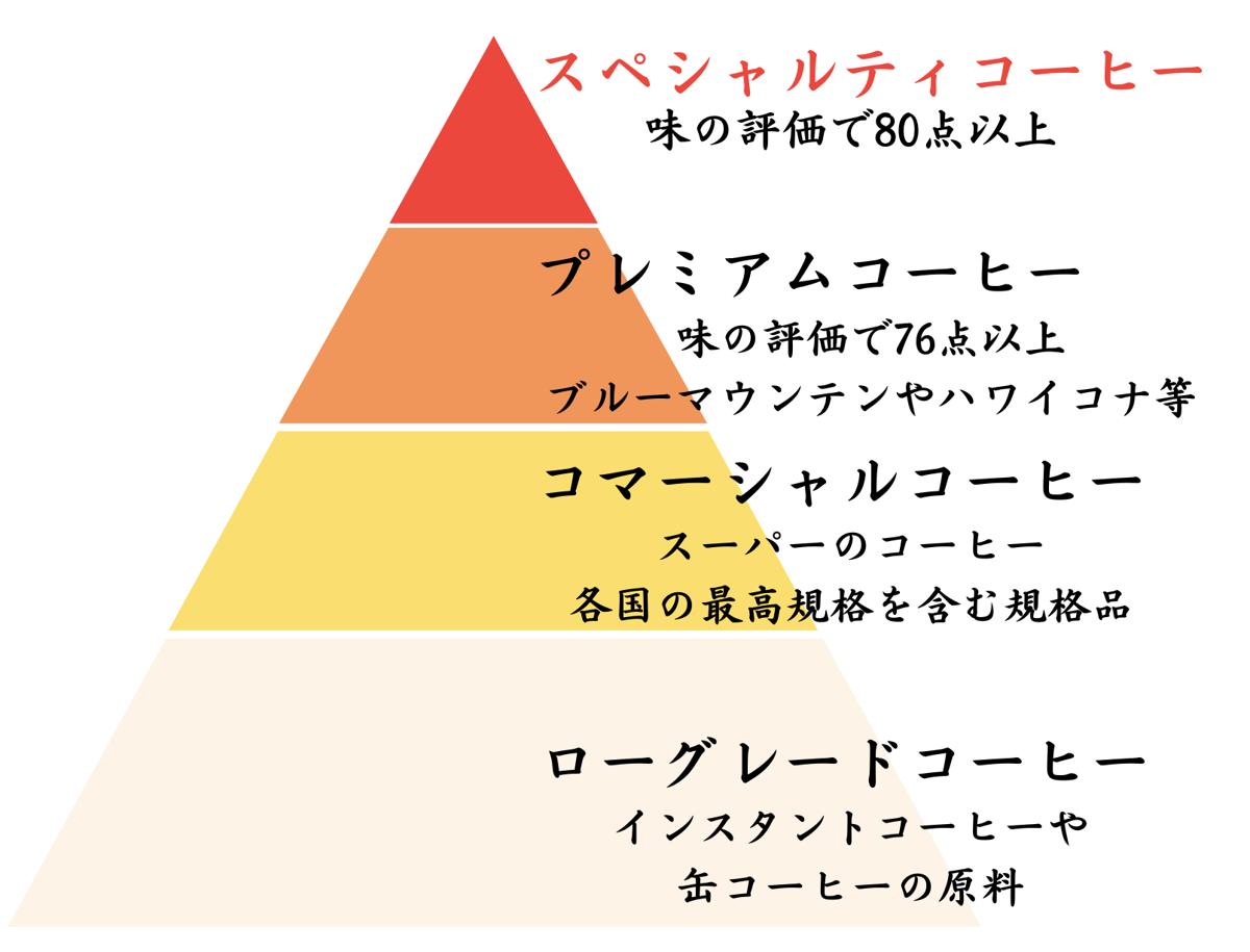 スペシャルティコーヒーのランクピラミッド