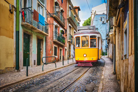 Hop-On Hop-Off Tour Bus with Three Routes Including Tram