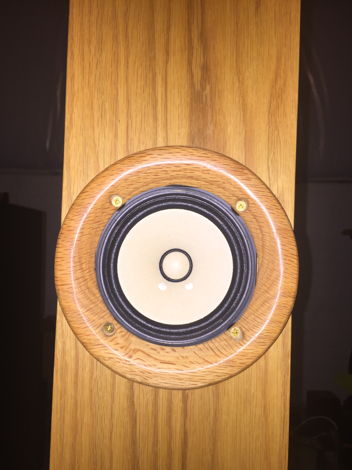 Cardersound TyBone - Single Driver 2.1 Horn Speakers * ...