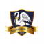 Burnham cricket club logo