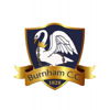 Burnham cricket club Logo