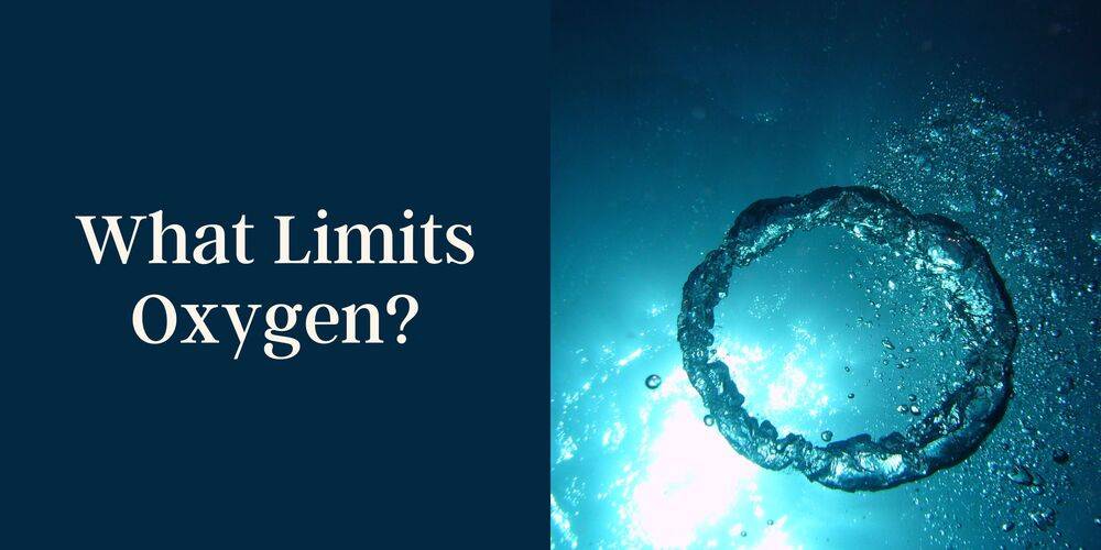 What Limits Our Oxygen?