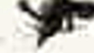 Main Content Image