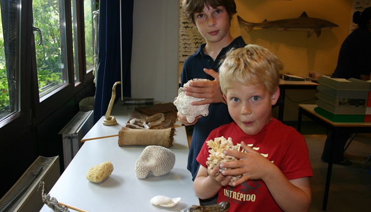 aquazoo düsseldorf naturobjekte begeistern