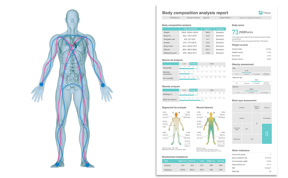 Lepulse-P1-Professional-Body-Report