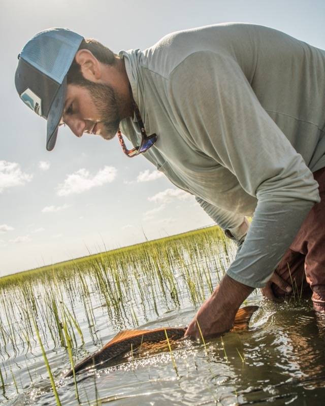 Fisherman catches and releases fish in a marsh.