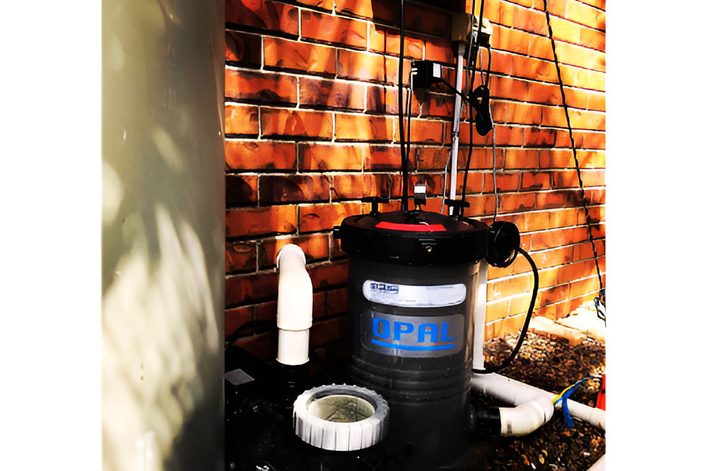 Gizmo’s Pool Care – 6-Month Pool Cleaning Service Package + Chemicals - Image 6