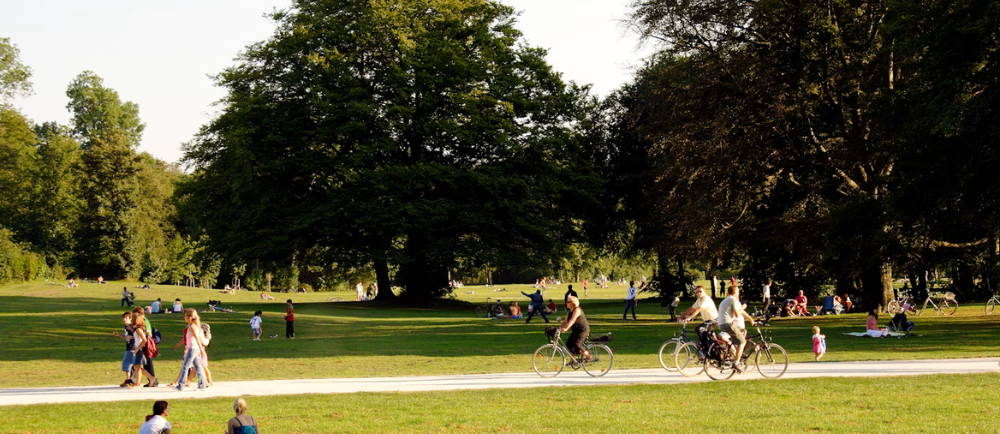 people riding bikes in Central Park