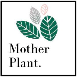 Mother Plant