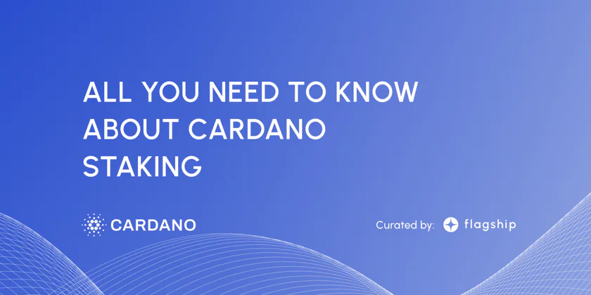 Cardano Staking Explained