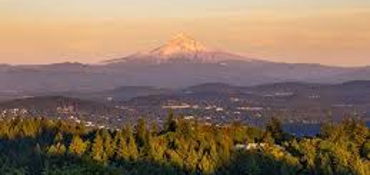 International Rose Test Garden via scenic Skyline road near Portland, OR