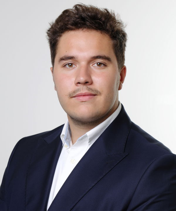 Mathis Laflamme-Picherie
