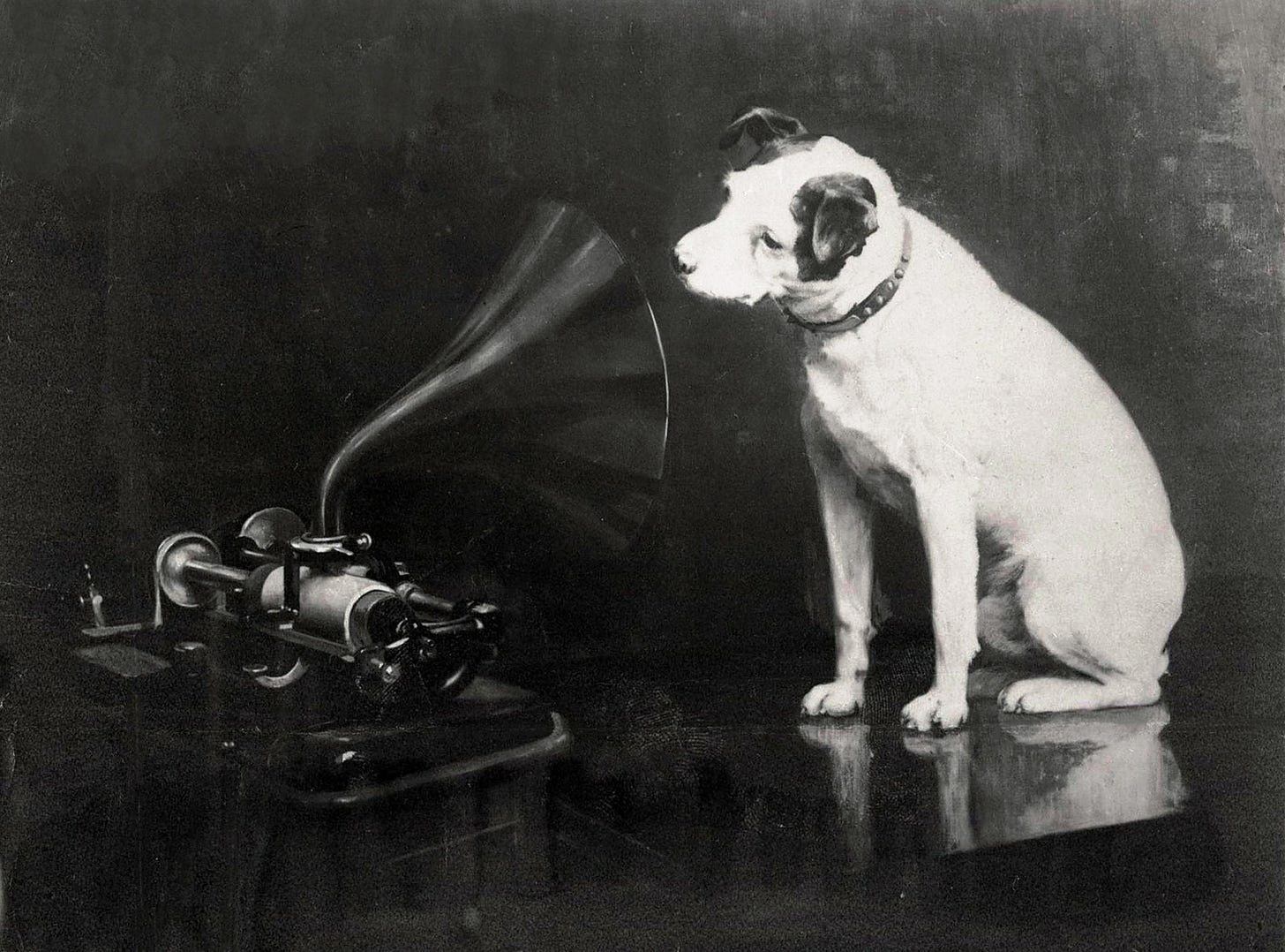 The Three Futures of Voice AI (Substack)