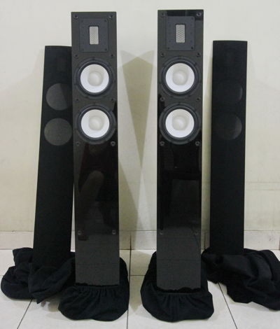 Raidho Acoustics S 2.0 floorstanding speakers Free ship...