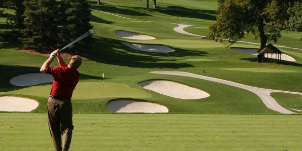 Elmwood 18 Hole Golf Course promotional image