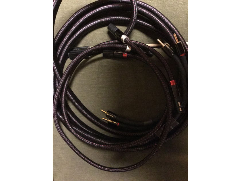 Clarus Crimson Speaker Cable