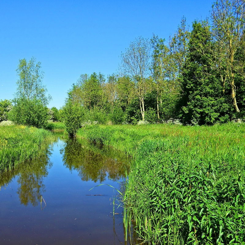 Week van Ons Water