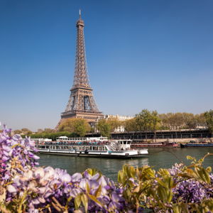 Honeymoon to Paris