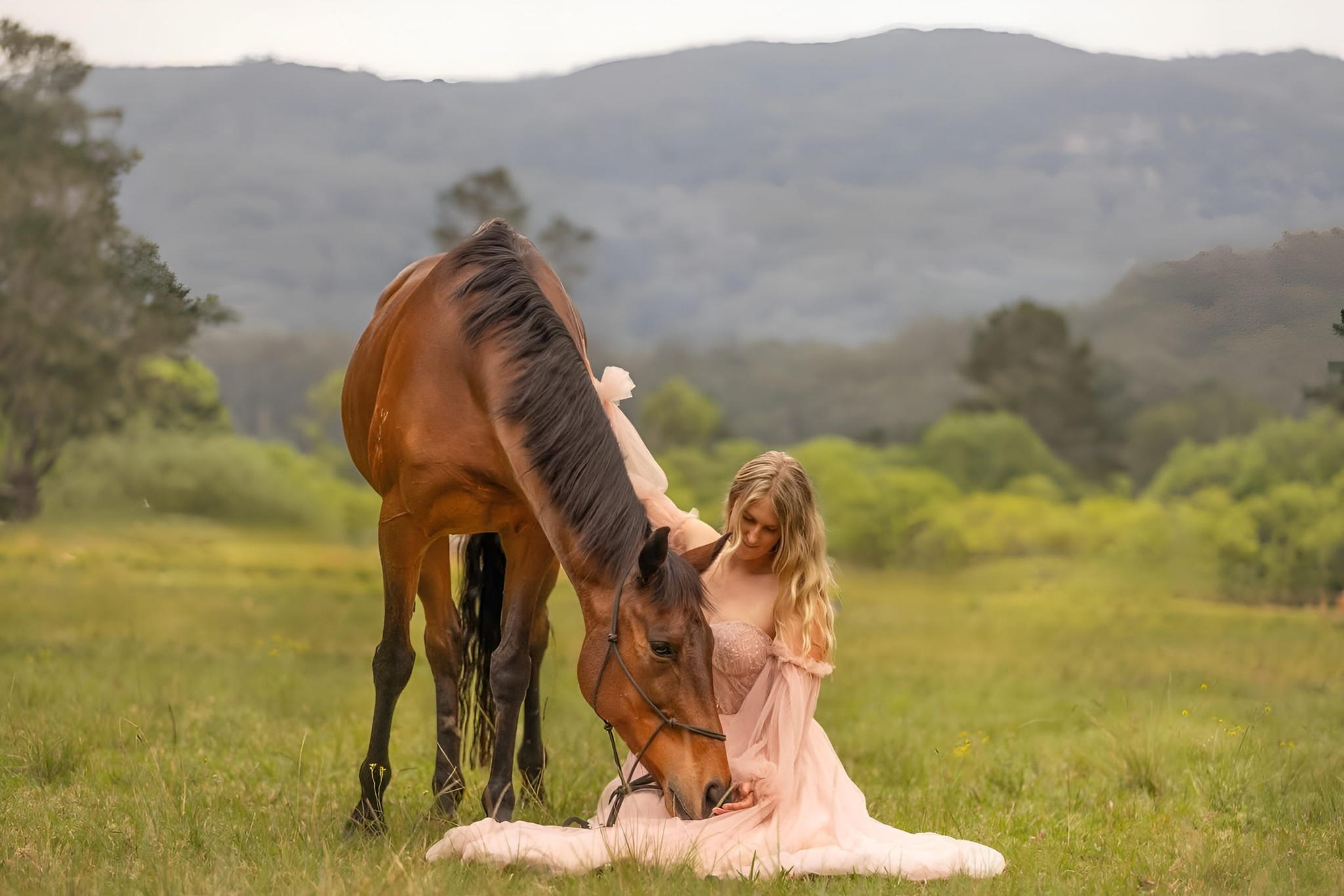 Ridgeview Equestrian Voucher - Image 7