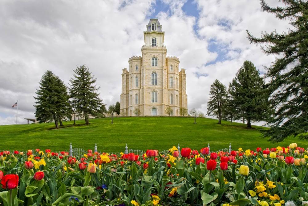 Photo of the Manti LDS Temple on a hill with tulips in the forefront.