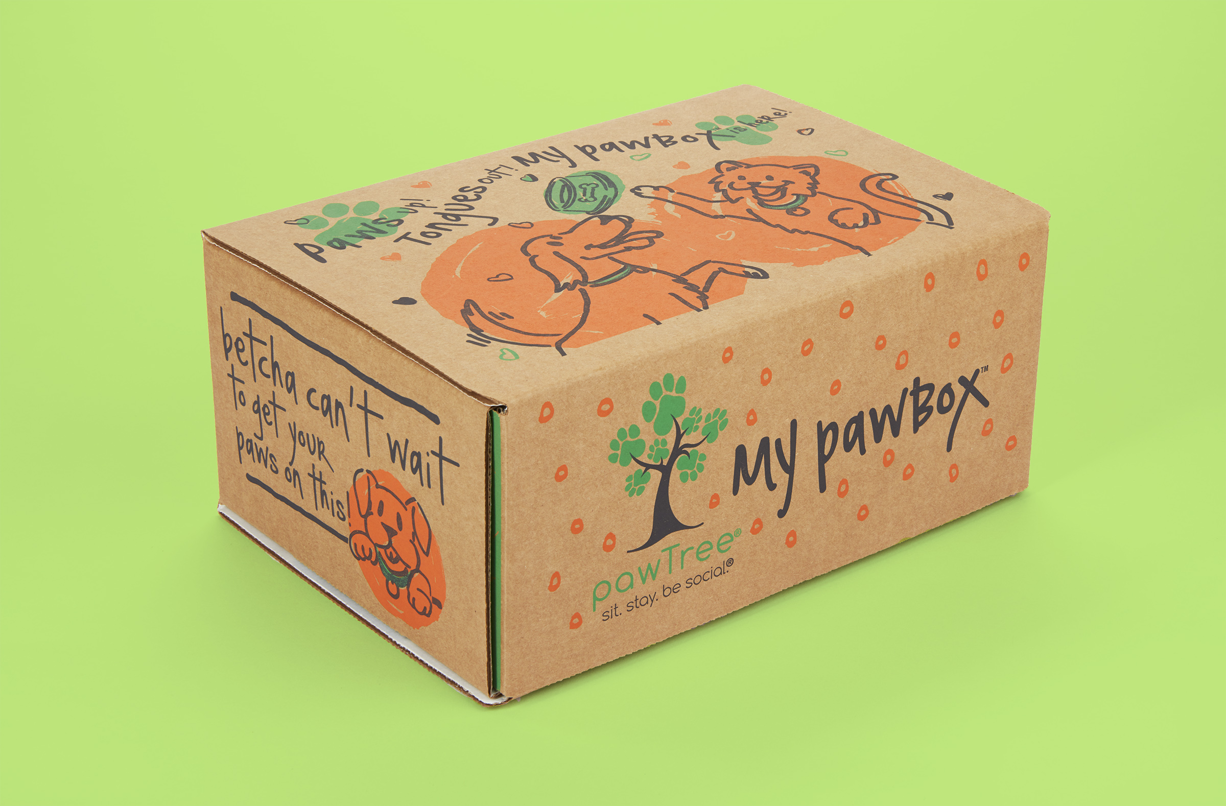 Give Your Pets the Best With This Tailored Subscription Box