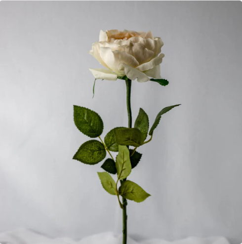 Blush Pink Real Touch David Austin Half Bloom Rose - Realistic Artificial Flowers (Box of 24 Stems) - Image 3