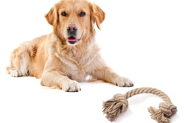Hemptique hemp dog toy